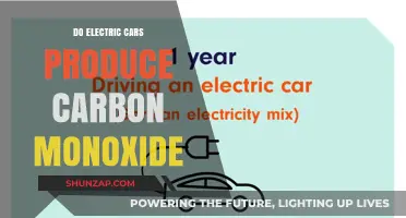 Electric Cars and Carbon Monoxide: Debunking Emissions Myths