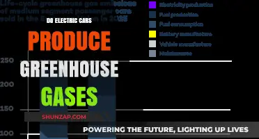 Electric Cars and Greenhouse Gases: Uncovering the Environmental Impact