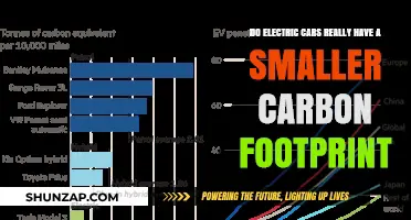 Electric Cars vs. Gasoline: Uncovering the True Carbon Footprint Impact