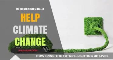 Electric Cars and Climate Change: Real Solution or Greenwashed Myth?
