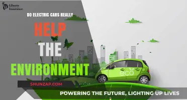 Electric Cars and the Environment: Myth or Green Revolution?