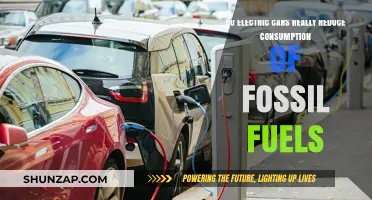 Electric Cars: Effective Fossil Fuel Reduction or Green Illusion?