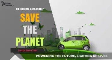 Electric Cars: Eco-Friendly Savior or Greenwashed Myth?