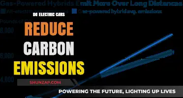 Electric Cars: A Green Revolution or Carbon Emission Myth?