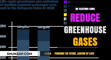 Electric Cars: Effective Solution to Reduce Greenhouse Gas Emissions?