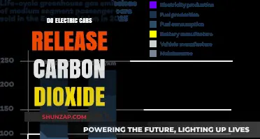Electric Cars and Carbon Dioxide: Unraveling the Emissions Myth