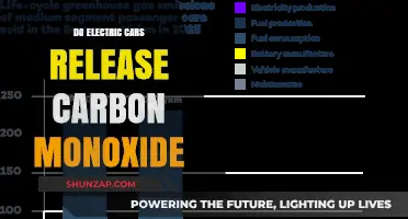 Electric Cars and Carbon Monoxide: Debunking Emissions Myths