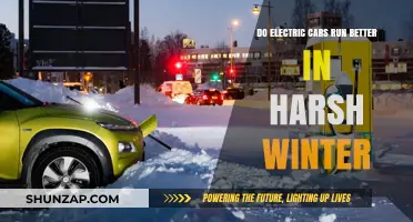 Winter Performance: Do Electric Cars Excel in Harsh Cold Conditions?