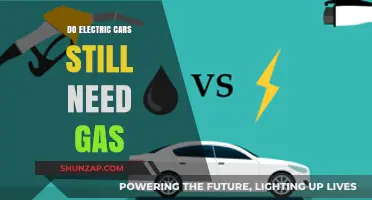 Electric Cars and Gas: Debunking the Fuel Dependency Myth