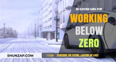 Electric Cars in Winter: Do They Fail Below Zero Degrees?