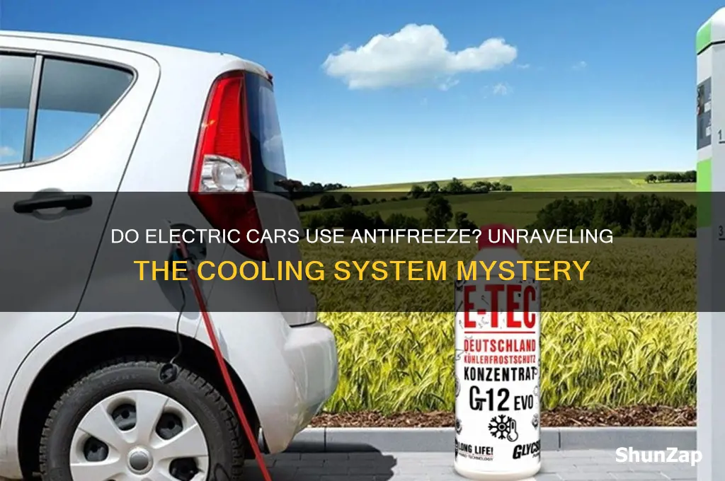 do electric cars use antifreeze