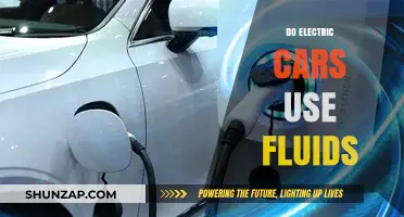 Electric Cars and Fluids: What You Need to Know