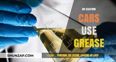 Electric Cars and Grease: Unraveling the Lubrication Myth