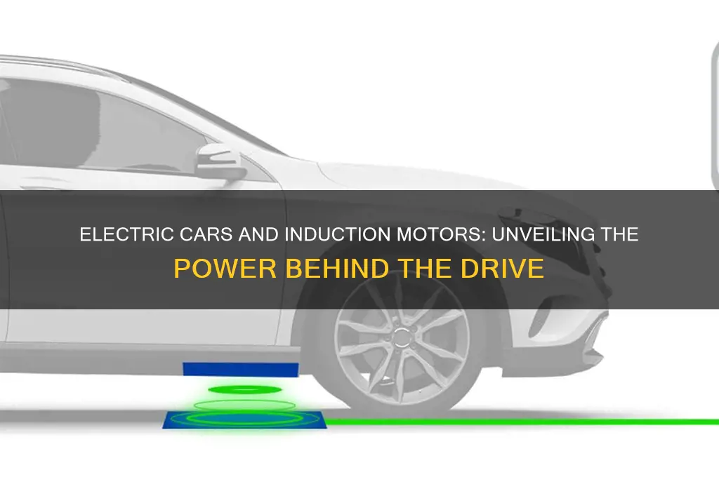 do electric cars use induction motors