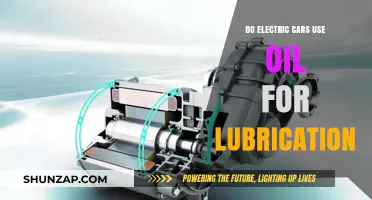 Electric Cars and Oil: Do They Need Lubrication for Performance?