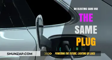 Electric Car Charging: Do All Models Use the Same Plug Type?