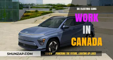 Electric Cars in Canada: Performance, Challenges, and Winter Reliability
