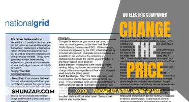 Electric Companies: Fluctuating Prices and Uncertain Consumer Costs