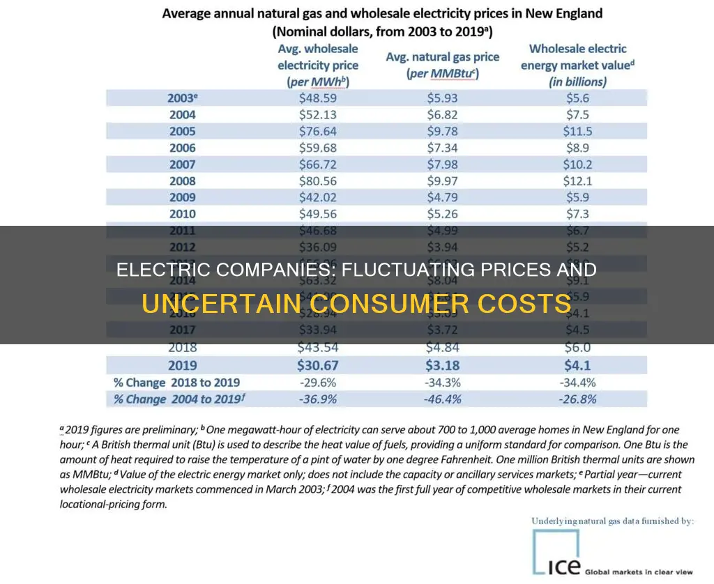do electric companies change the price