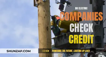 Electric Companies: Credit Checks and Your Privacy