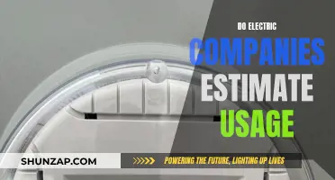 Electric Companies: Estimating Usage, Why and How?