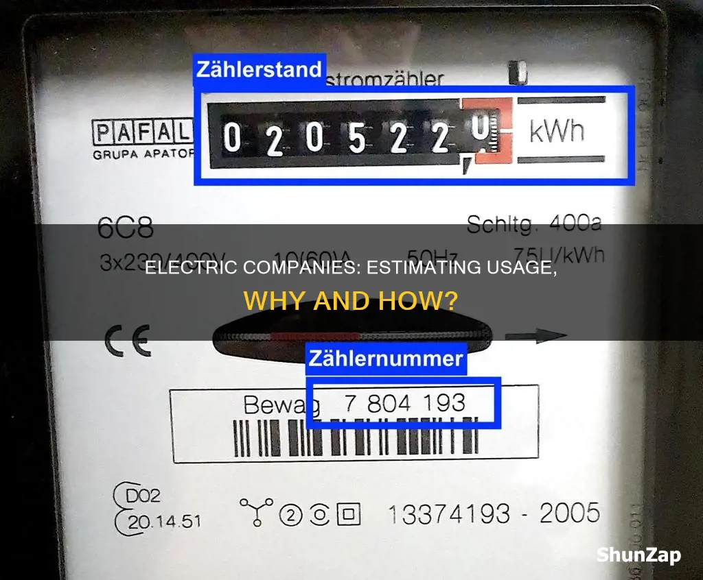 do electric companies estimate usage