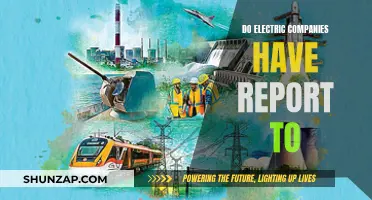 Electric Companies' Reporting: Who Do They Answer To?