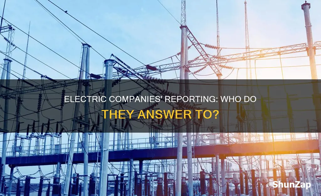 do electric companies have report to