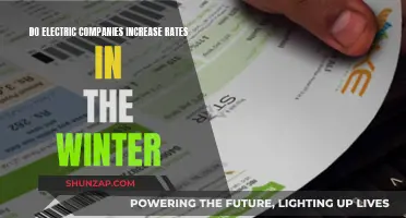Winter Woes: Electric Companies and Their Seasonal Rate Hikes