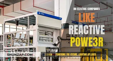 Electric Companies and Reactive Power: A Complex Relationship