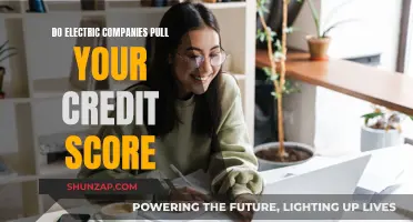 Electric Companies and Your Credit Score: What's the Link?