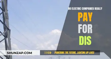 Electric Companies: Paying for Dis, Worth It?
