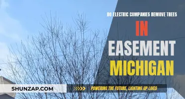 Electric Companies and Tree Removal: Michigan's Easement Rules