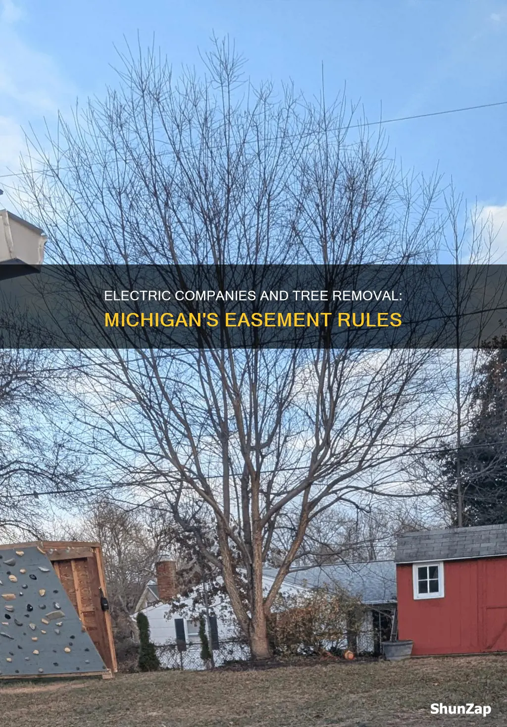 do electric companies remove trees in easement michigan