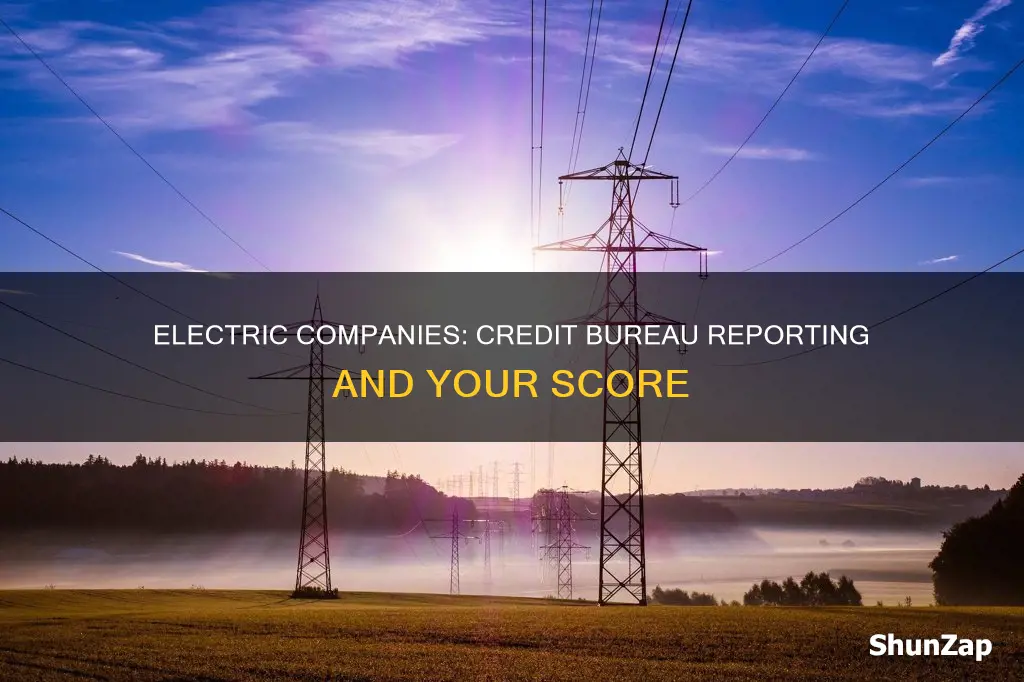 do electric companies report to credit bureaus