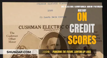 Electric Companies: Payment History and Credit Scores