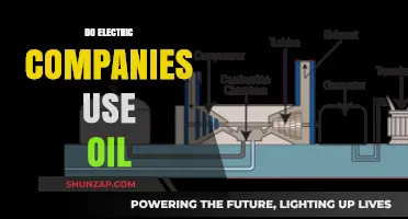 Do Electric Companies Still Rely on Oil for Power Generation?