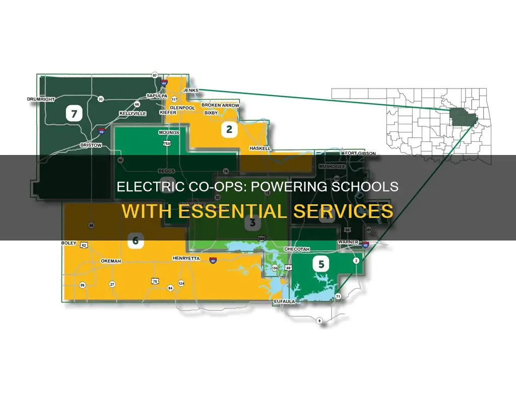 do electric cooperatives provide services for schools