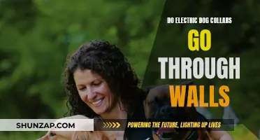 Electric Dog Collars: Do Signals Penetrate Walls?