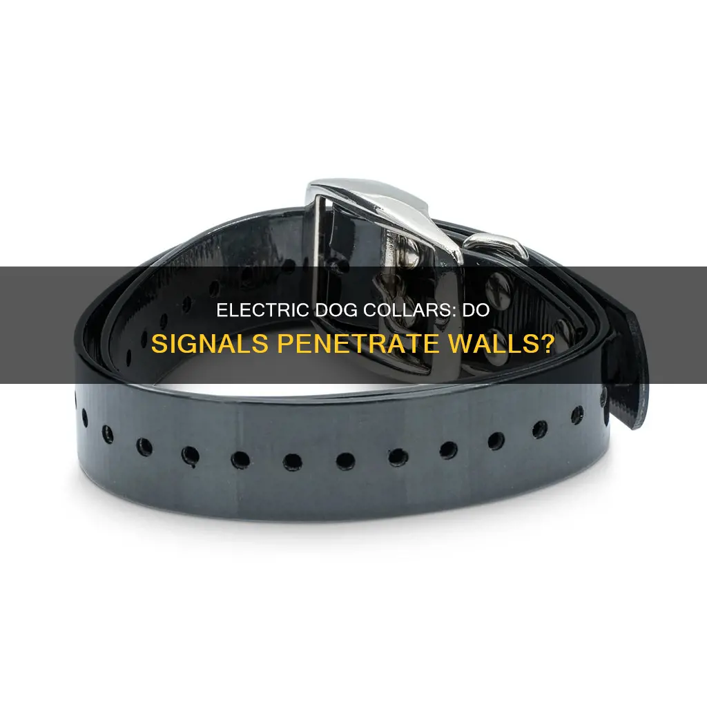 do electric dog collars go through walls