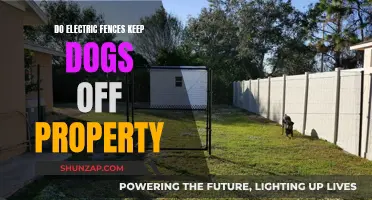 Electric Fences: Effective Dog Deterrent or Waste of Energy?