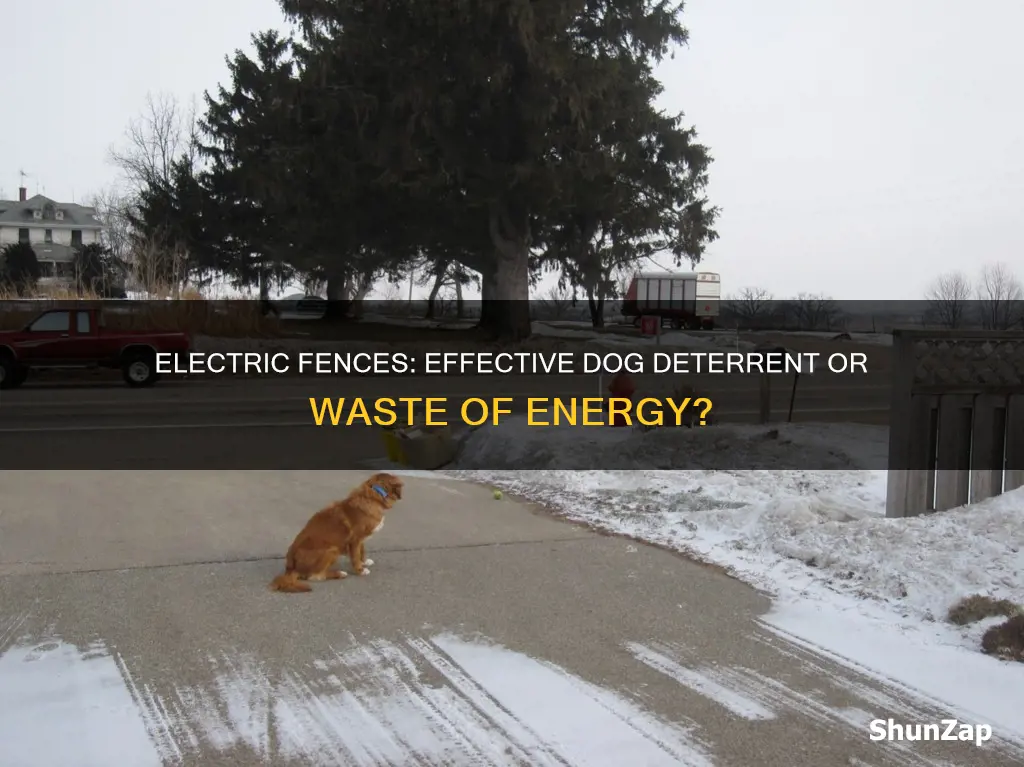 do electric fences keep dogs off property