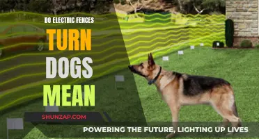 Electric Fences: Making Dogs Mean or Just Protective?
