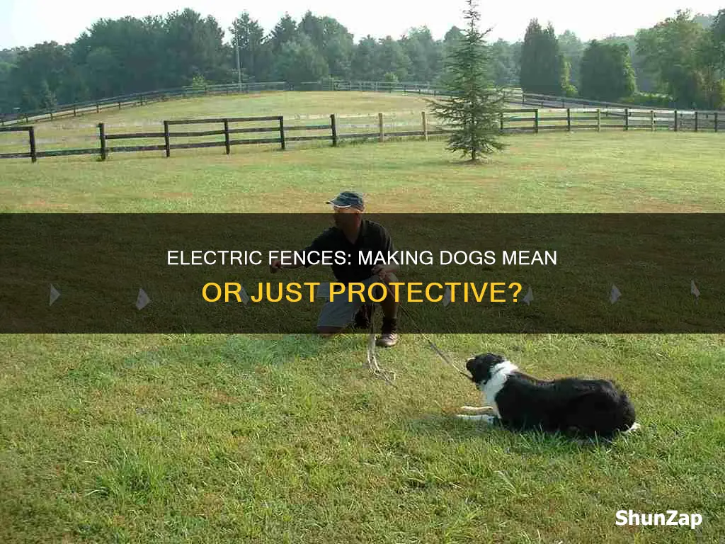 do electric fences turn dogs mean