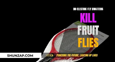 Electric Fly Swatters: Effective Against Fruit Flies?