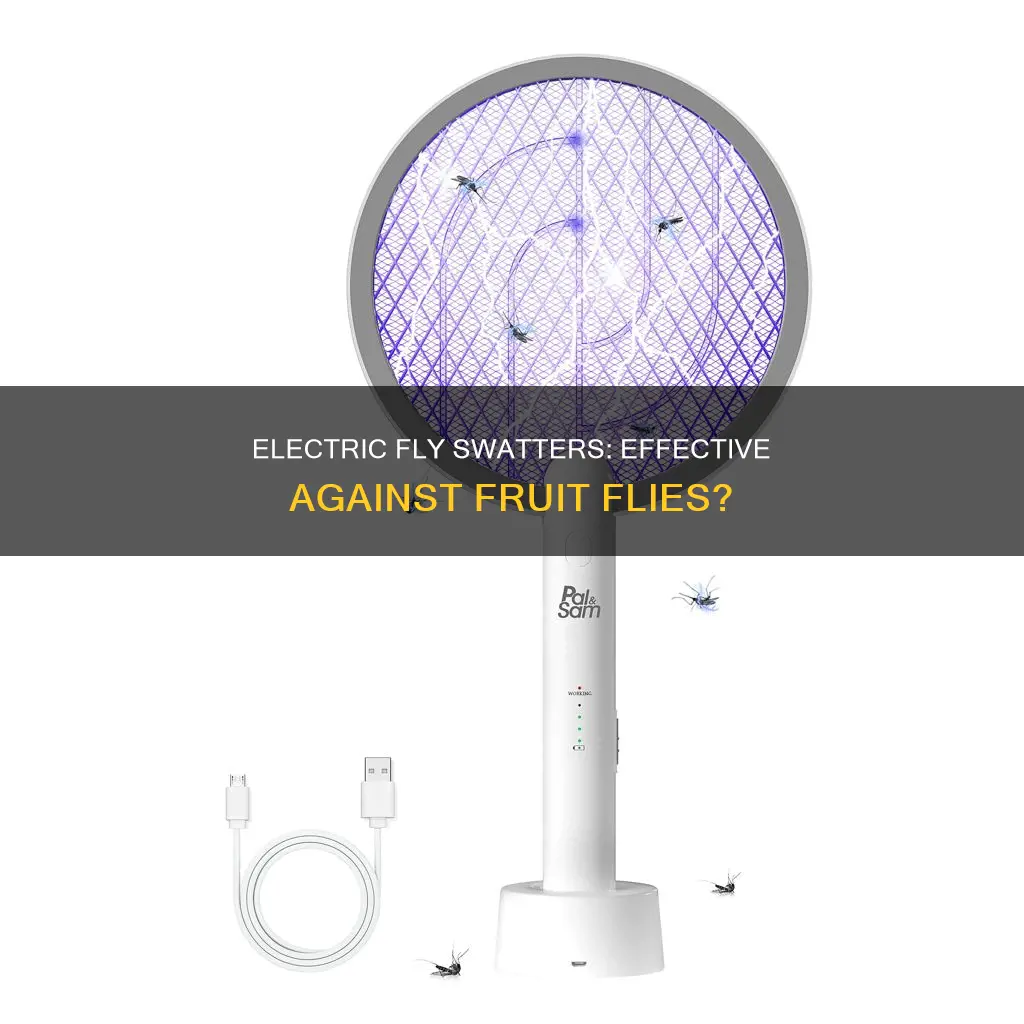 do electric fly swatters kill fruit flies