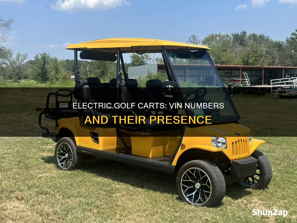 do electric golf carts have vin numbers