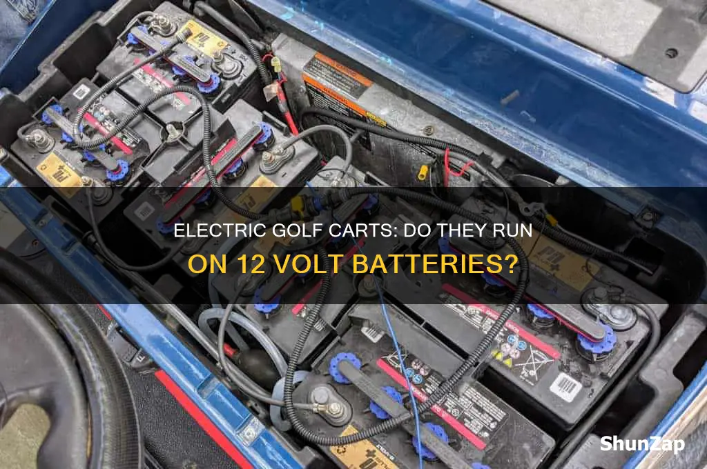 do electric golf carts use 12 volt batteries