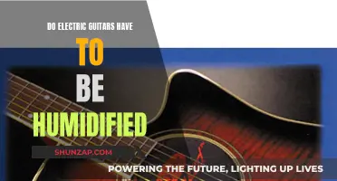 Humidifying Electric Guitars: A Necessary Step for Maintenance?