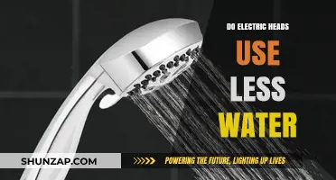 Electric Shower Heads: Do They Really Save Water?
